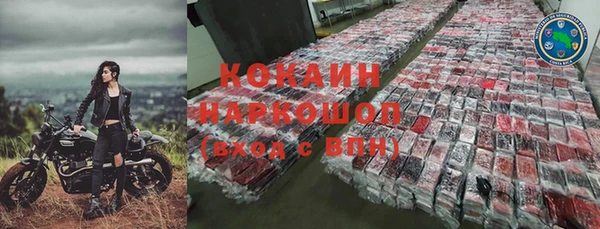 кокс Арсеньев
