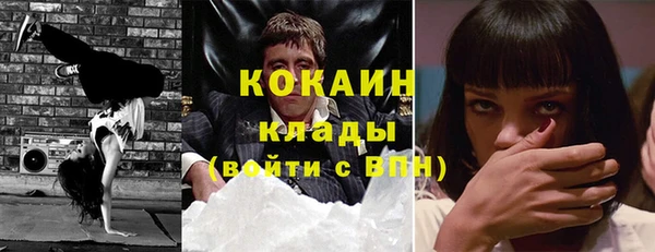 кокс Арсеньев